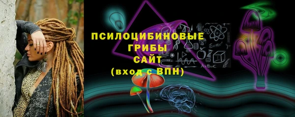 a pvp Абаза